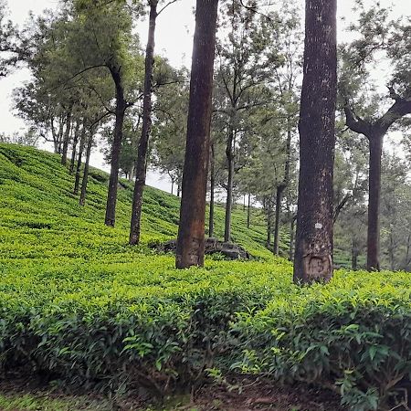 Ferienwohnung Woods Hut Nuwara Eliya Exterior foto