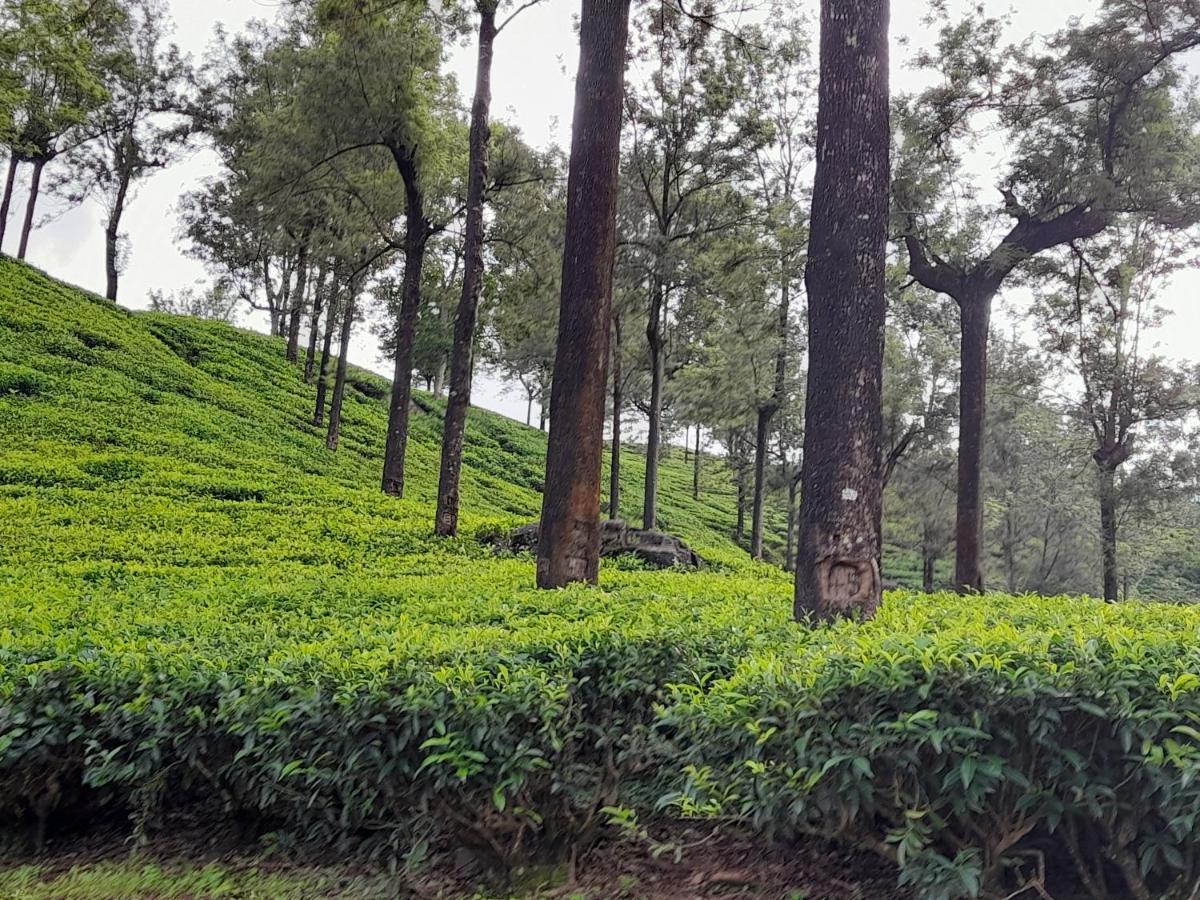 Ferienwohnung Woods Hut Nuwara Eliya Exterior foto